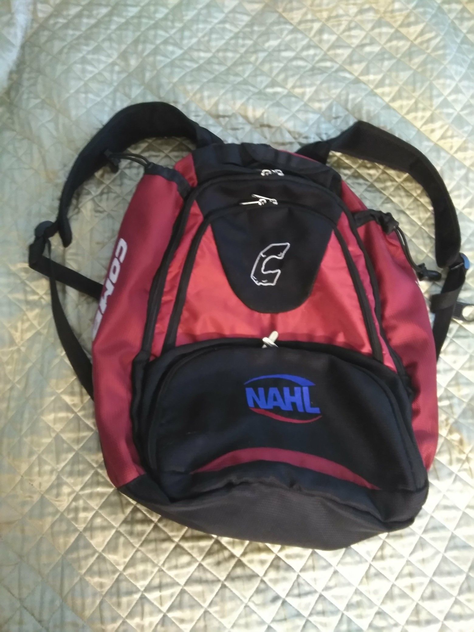 BASEBALL SOFTBALL BACKPACK BAG AND BATS. READ DETAILS