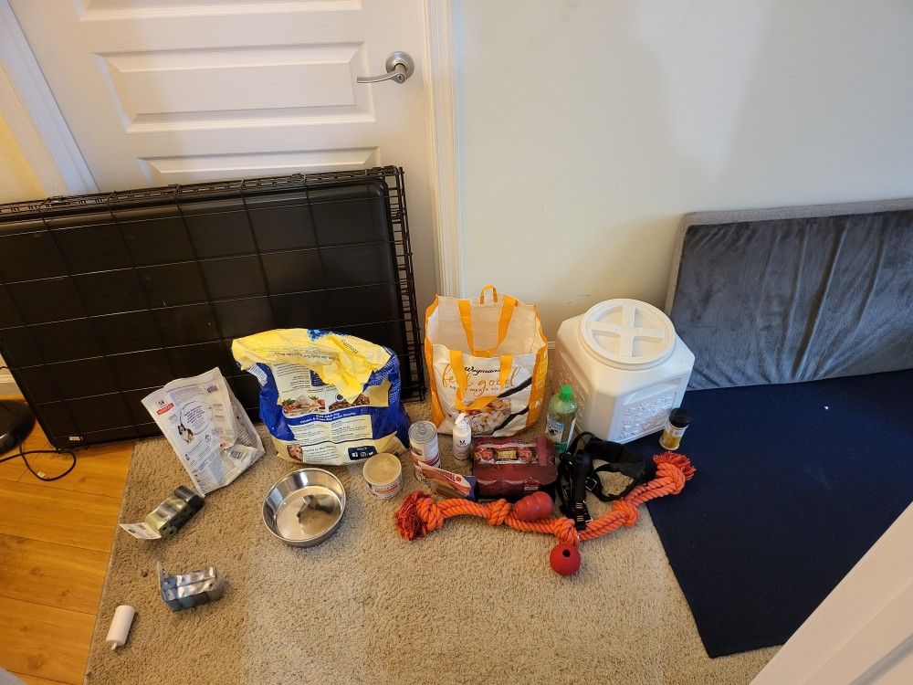 Dog Starter Pack- Will Go To Highest Bidder