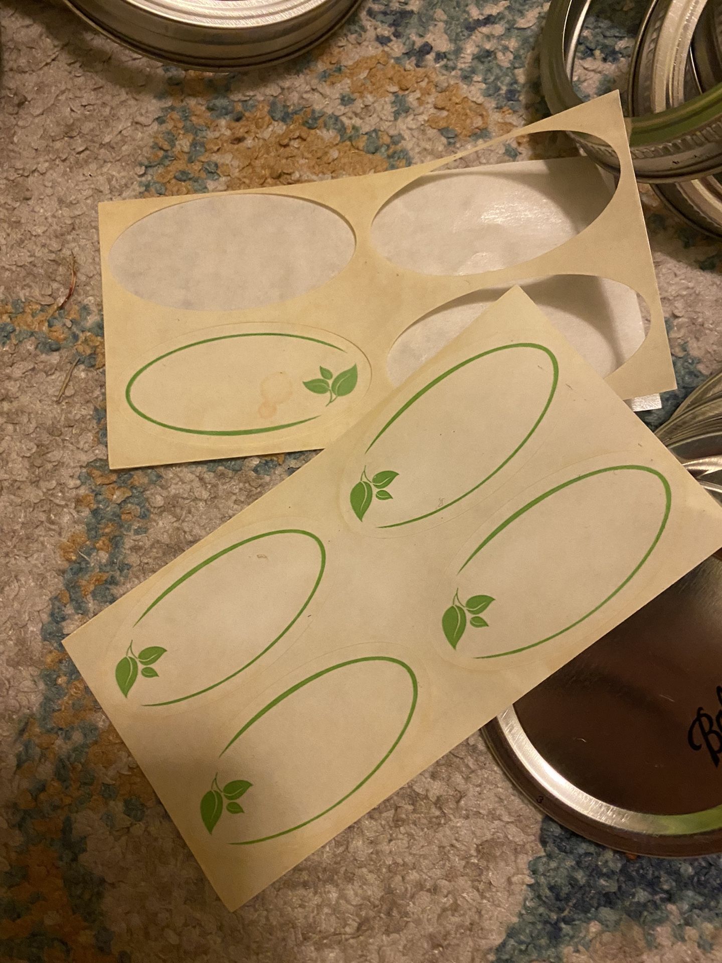 20 Mason Jars & Extra Caps & Rings