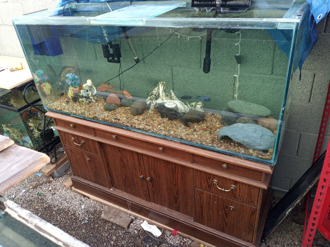 120 Gallon Fish Tank Aquarium With Stand And More