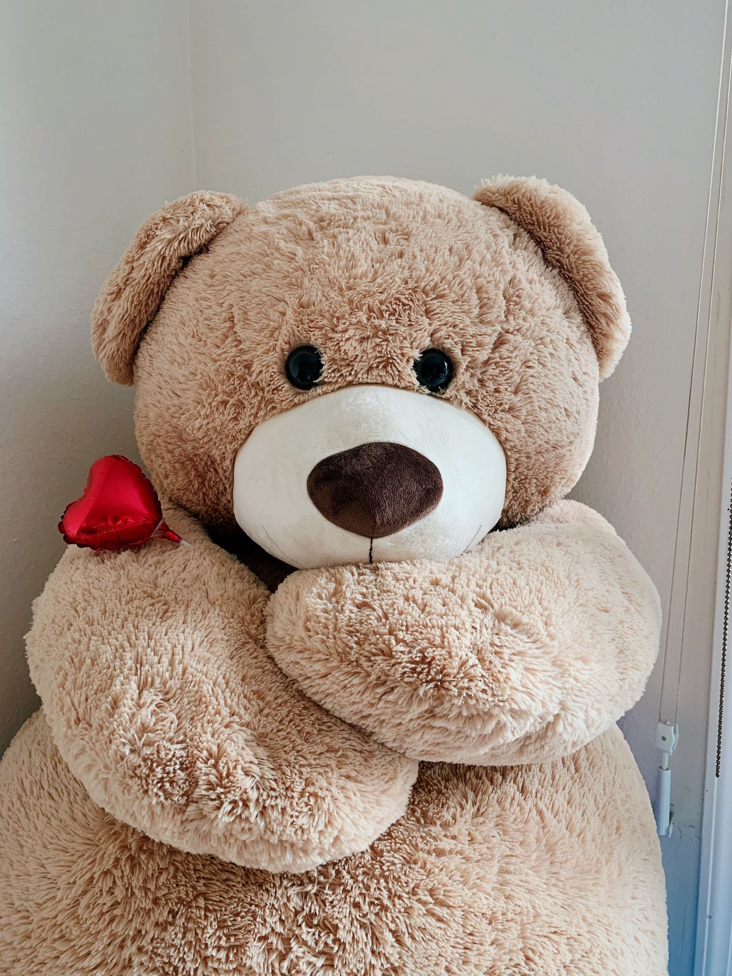 Super cute teddy bear 🧸