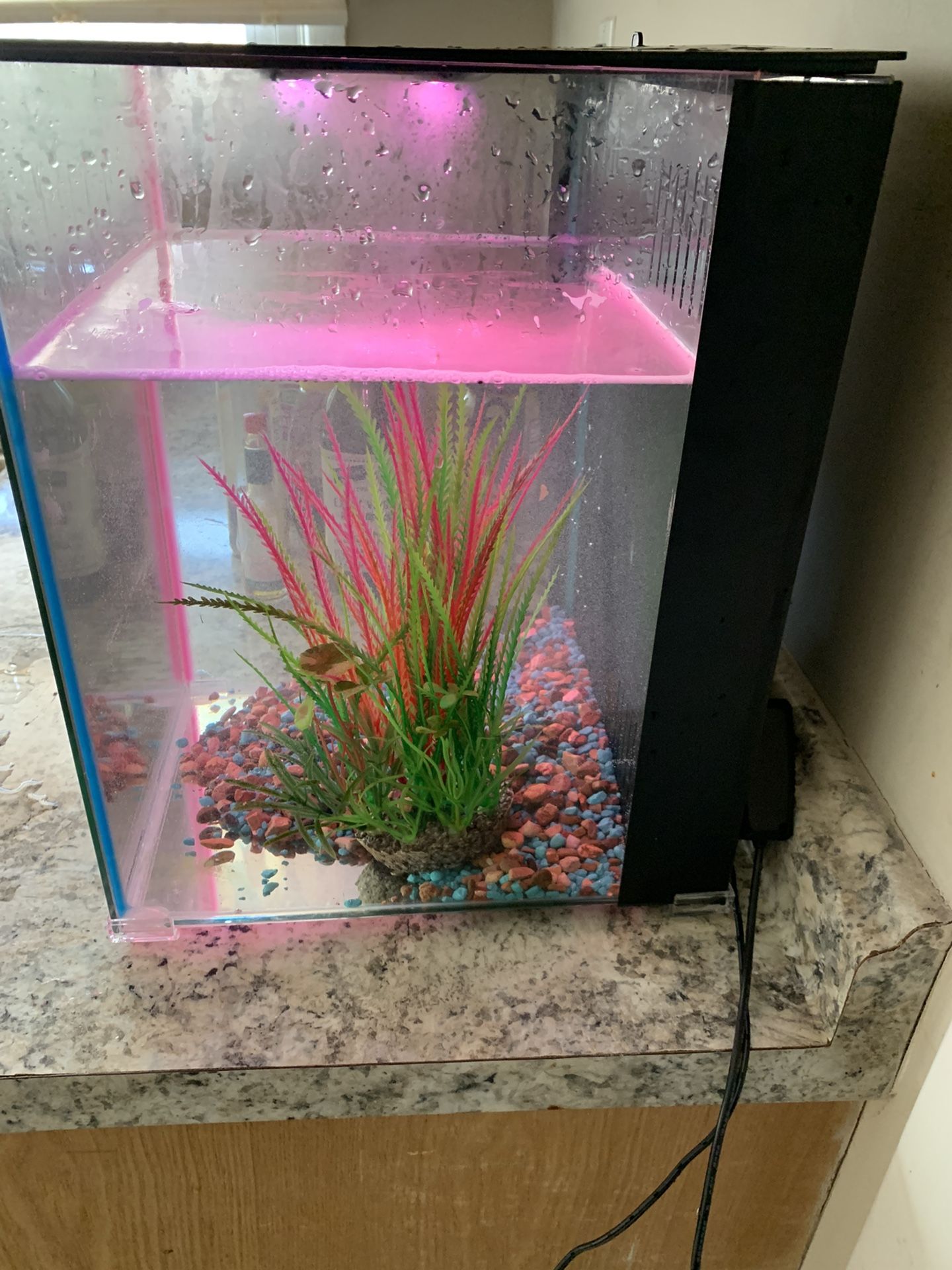 5gallon Fish Tank