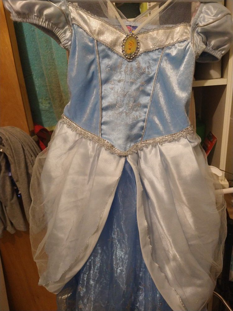 Cinderella Gown From Disney Park 5-6