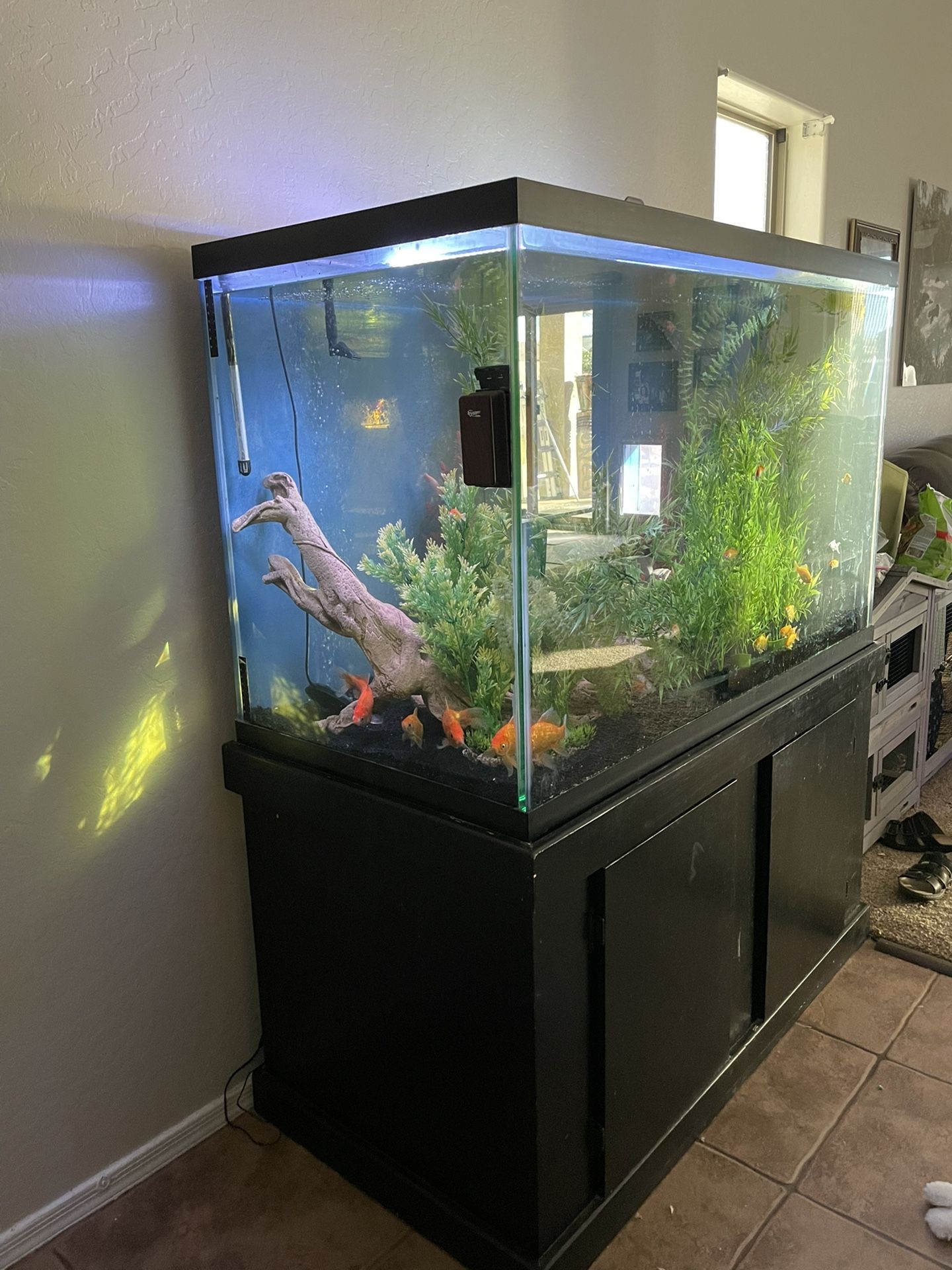 150 Gallon Fish Tank