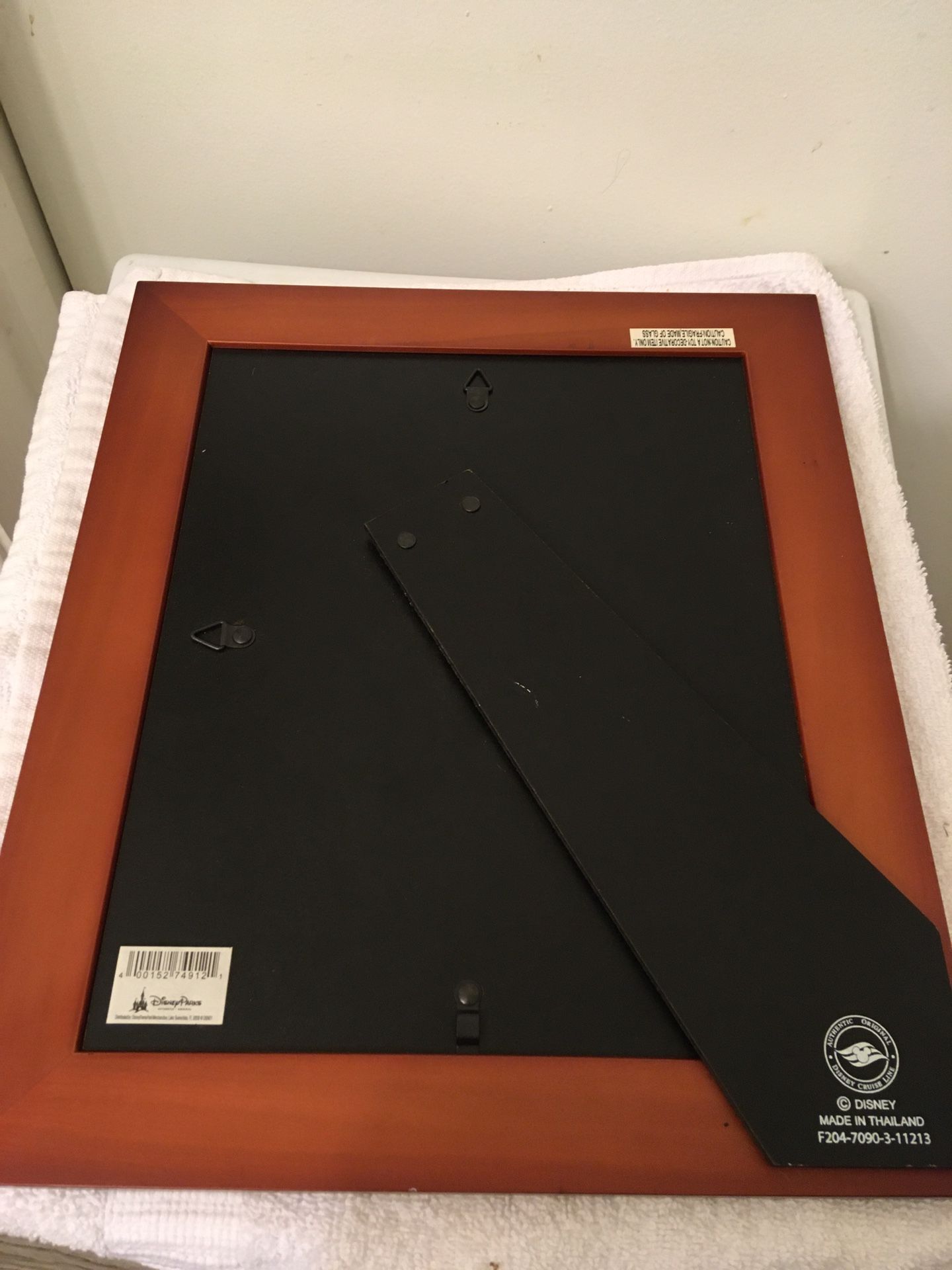 DISNEYLAND 8”x10” PHOTO FRAME