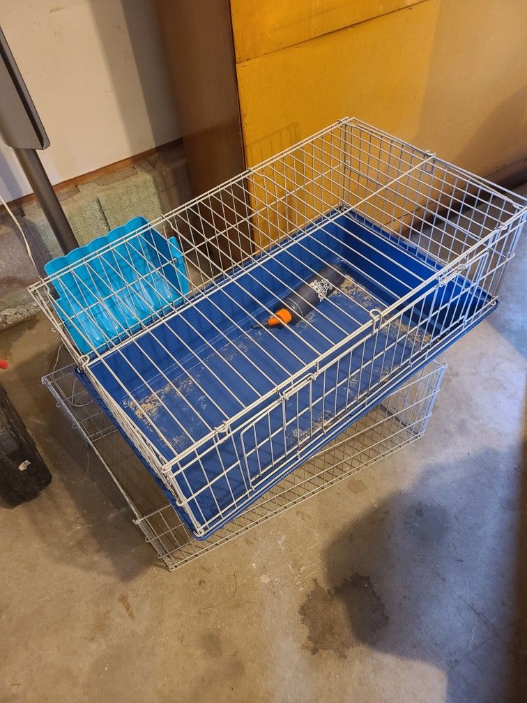Guinea pig cage