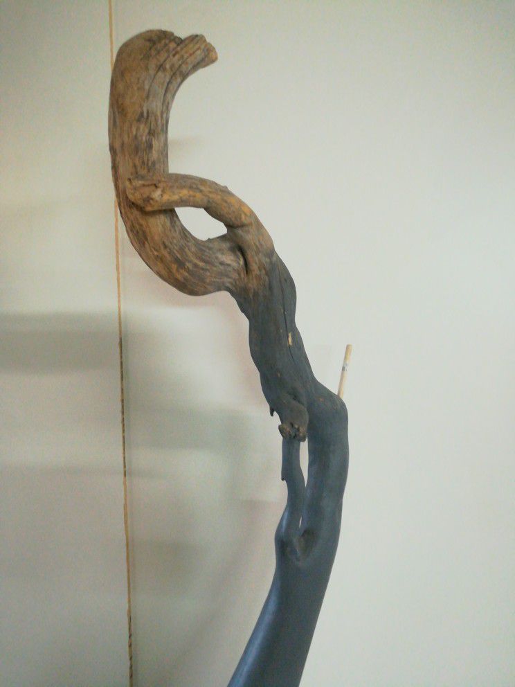 Sculpture Project