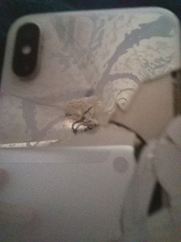 I Phone Xs