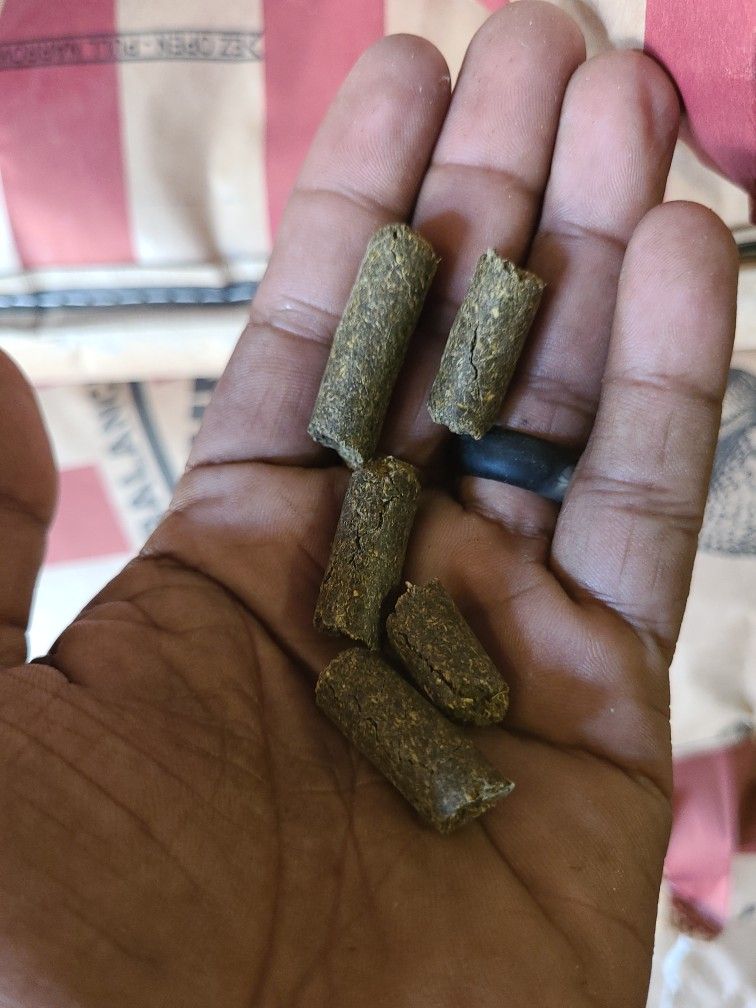 Alfalfa Pellets