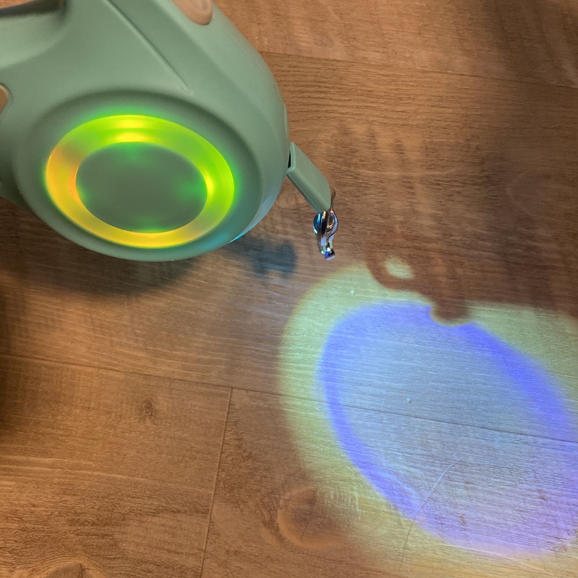 Light Up Led Dog Leash / Cat Leash