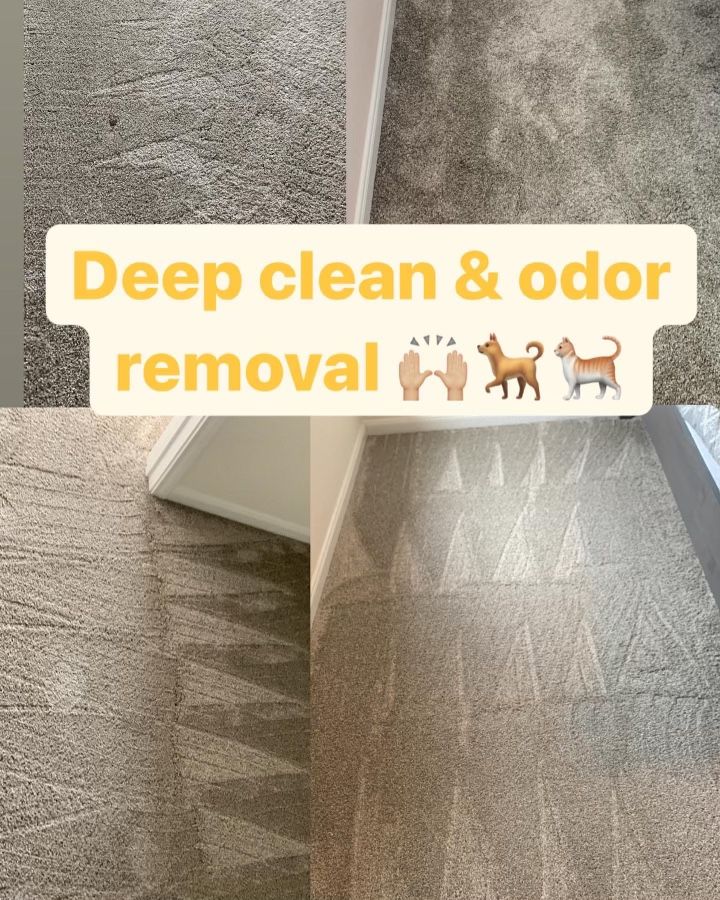 ๐ฆ ๐งผ C4rpet WClean ๐งผ ๐ฆ