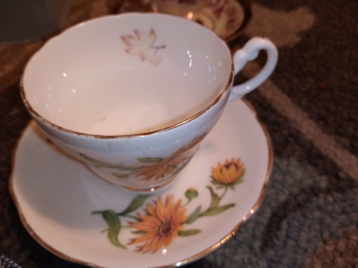 Tea Cups / Saucers