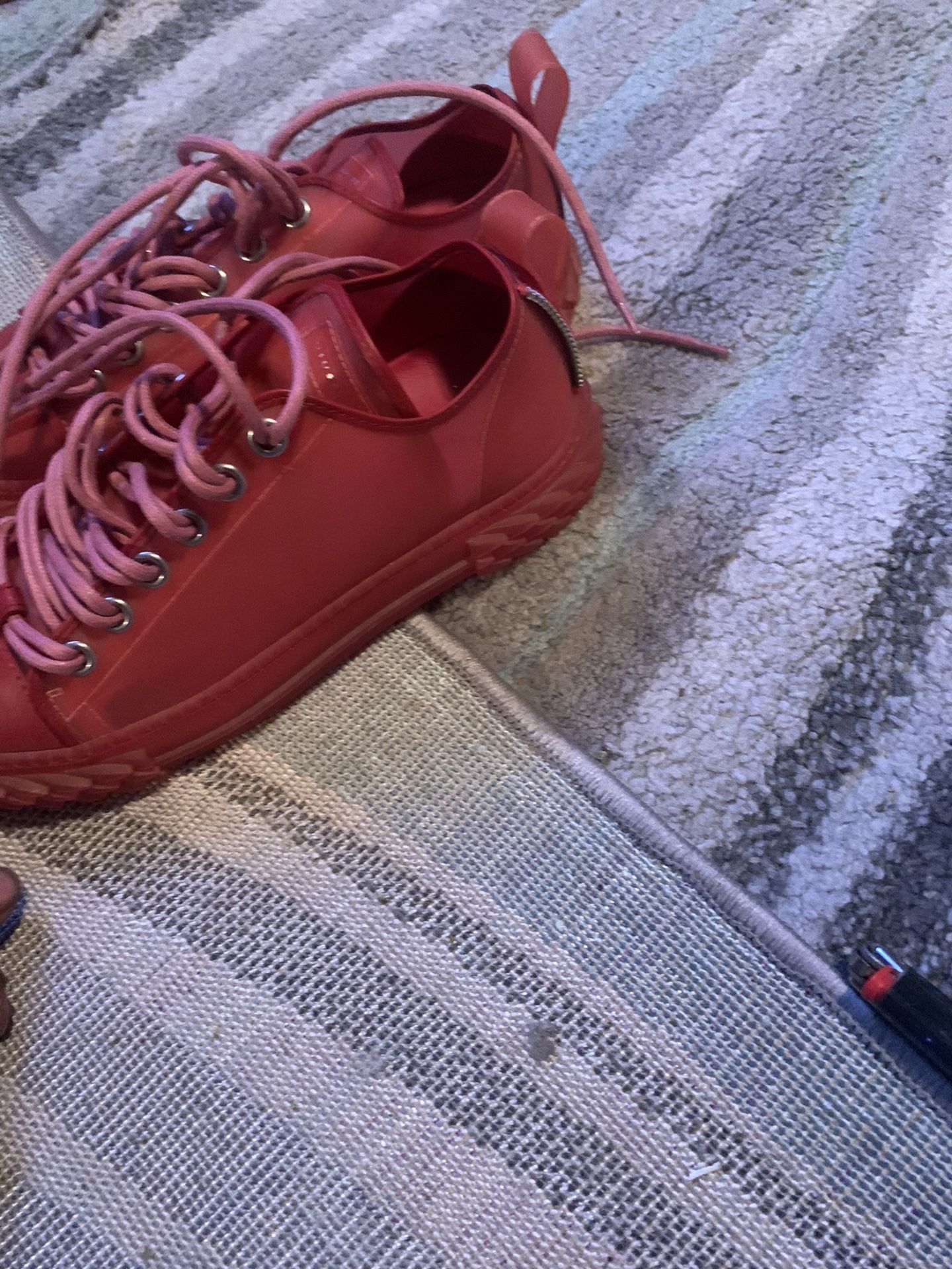 Giuseppe Zanotti