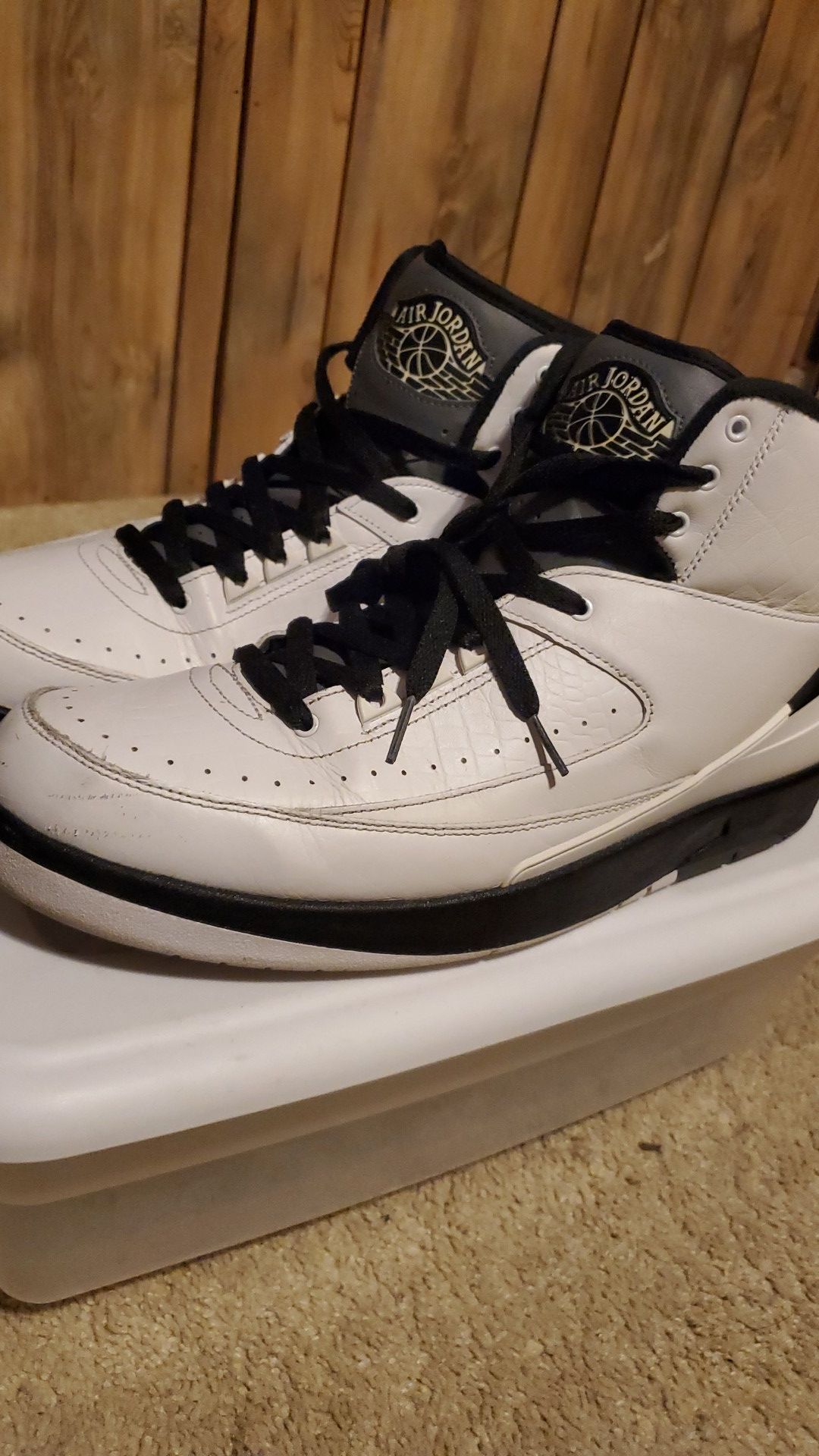 Air Jordan 2s "wing it" size 13 read discription