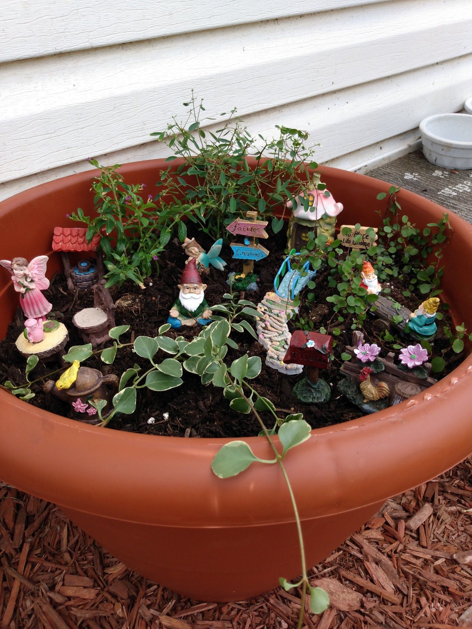 Fairy/Gnome made to order gardens.