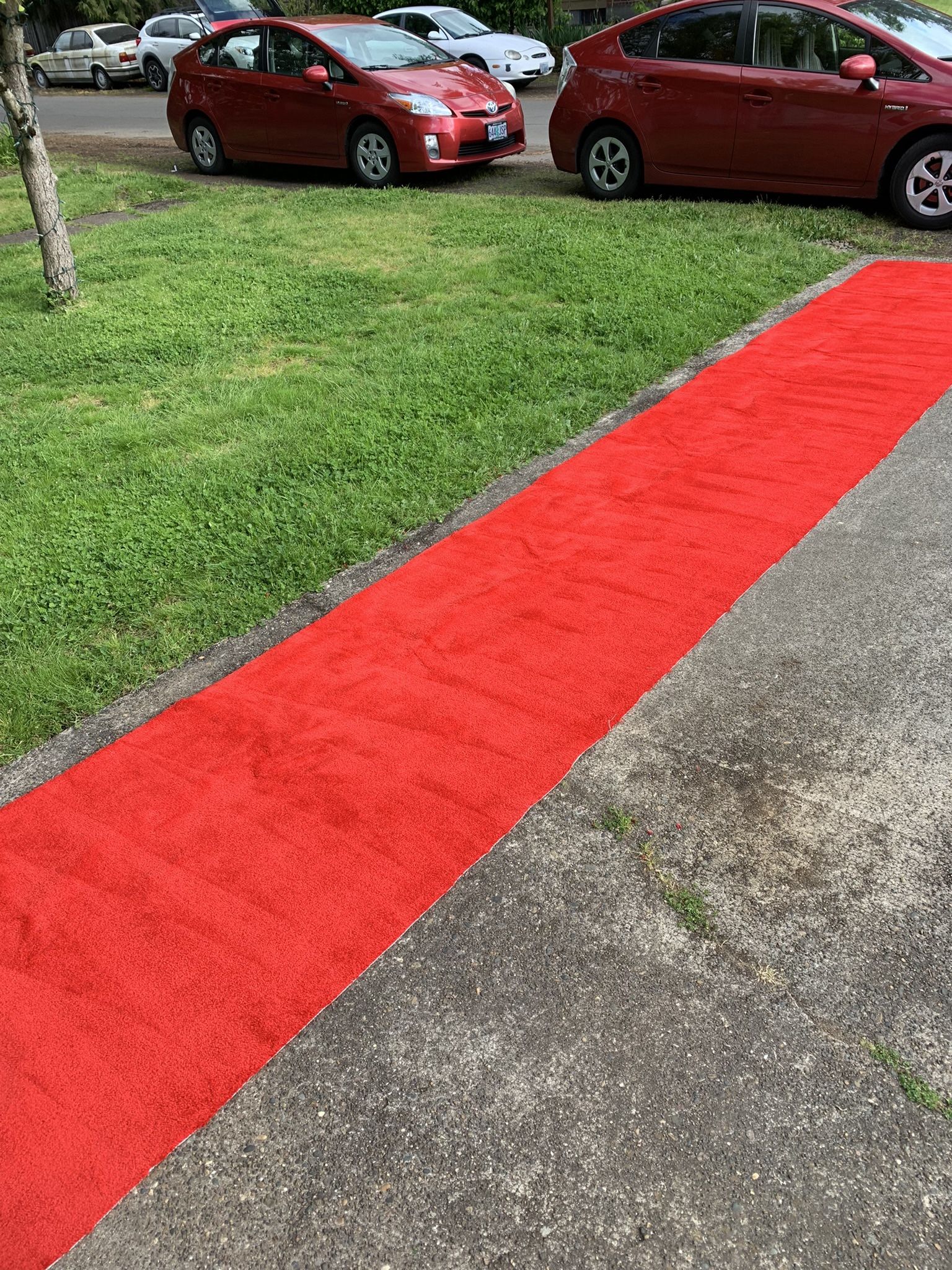 Red Carpet 23’x41”