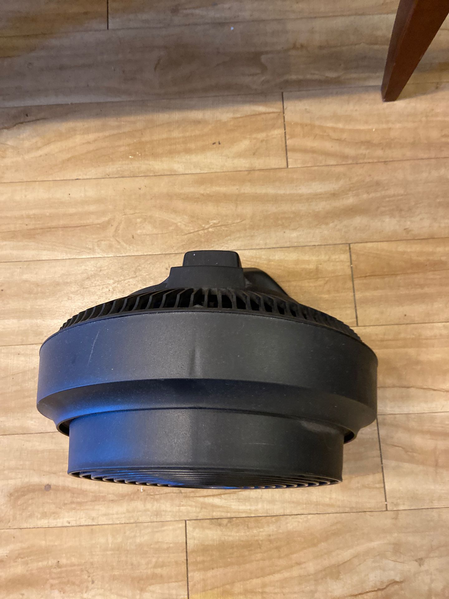 Oscillating fan
