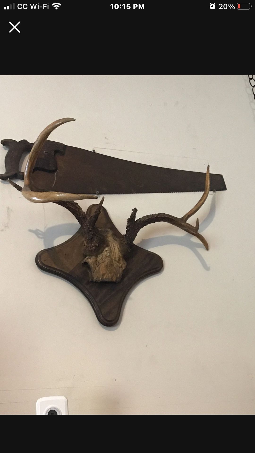 Mounted 8 Pointer Deer Antlers