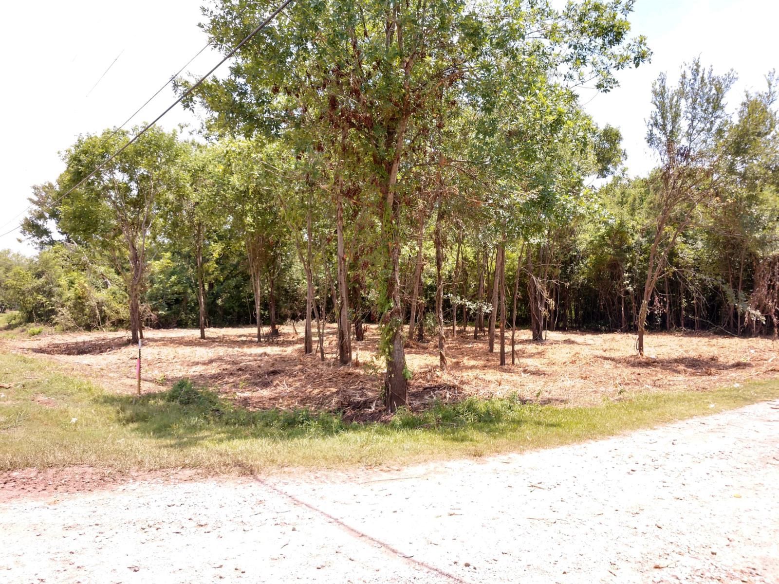1/4 Acre Lot Terreno para Traila en Rosharon Texas 1 for Sale in