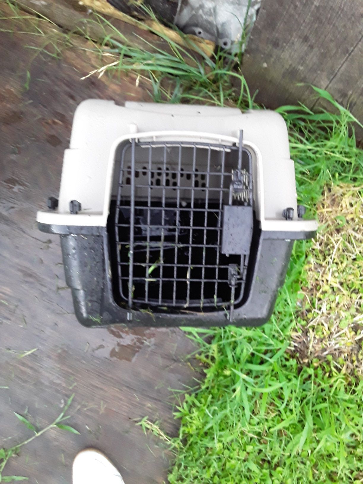 Dog kennel