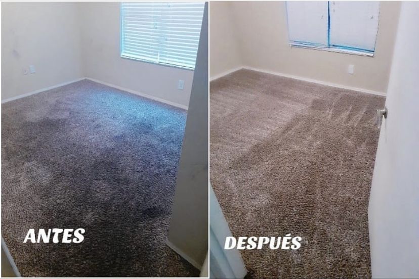 Carpet Upholstery And Sofa Cleaner MorsaWash