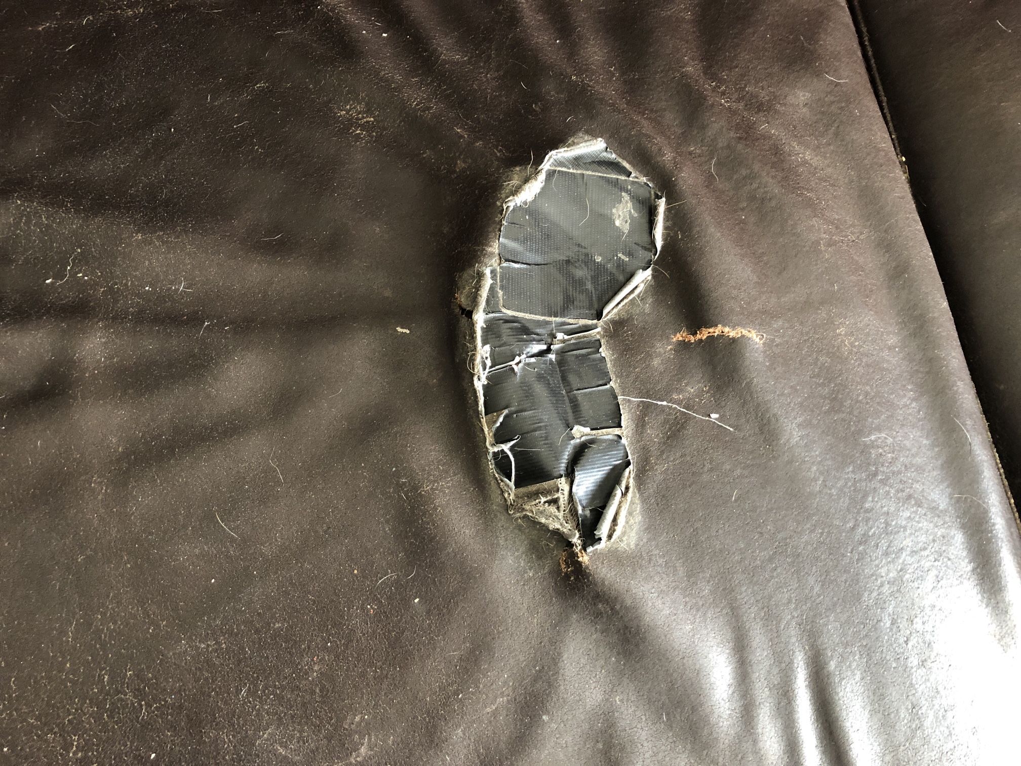 FREE Couch