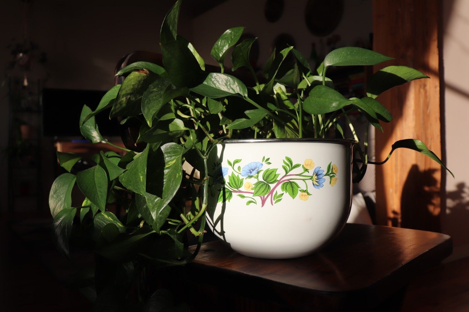 JCPenny Floral Mixing Bowl Planter