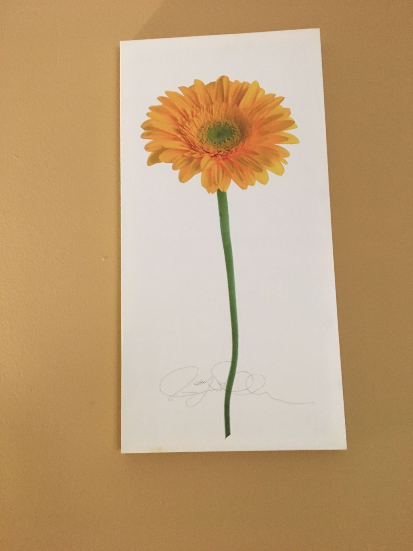 L31 By W16 Wall Art On Canvas $10 Each
