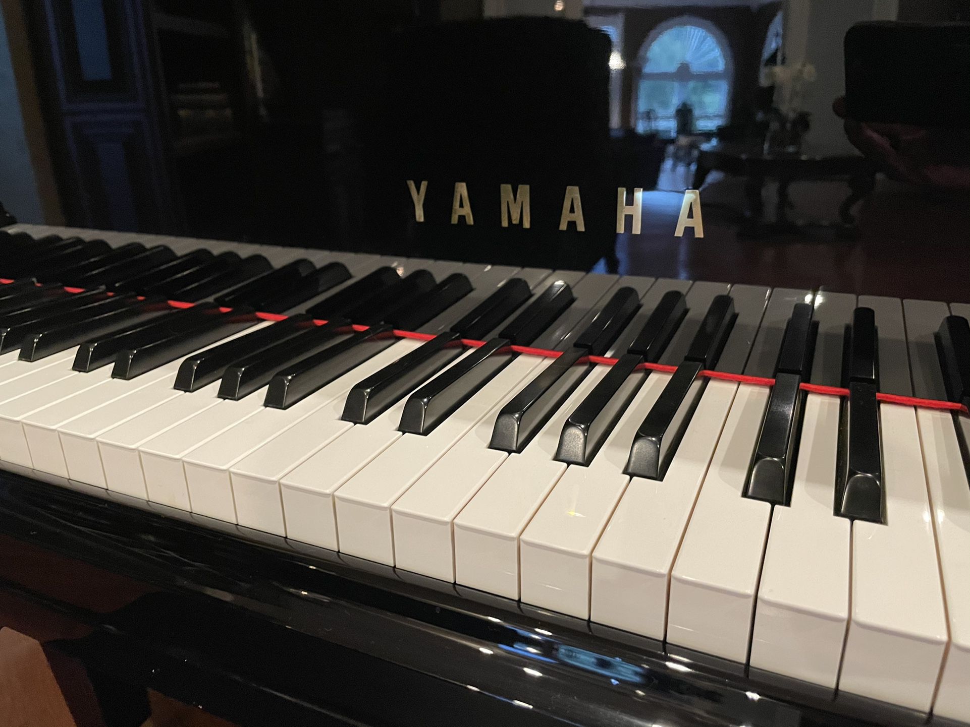 Yamaha Baby Grand Piano - With Auto Play