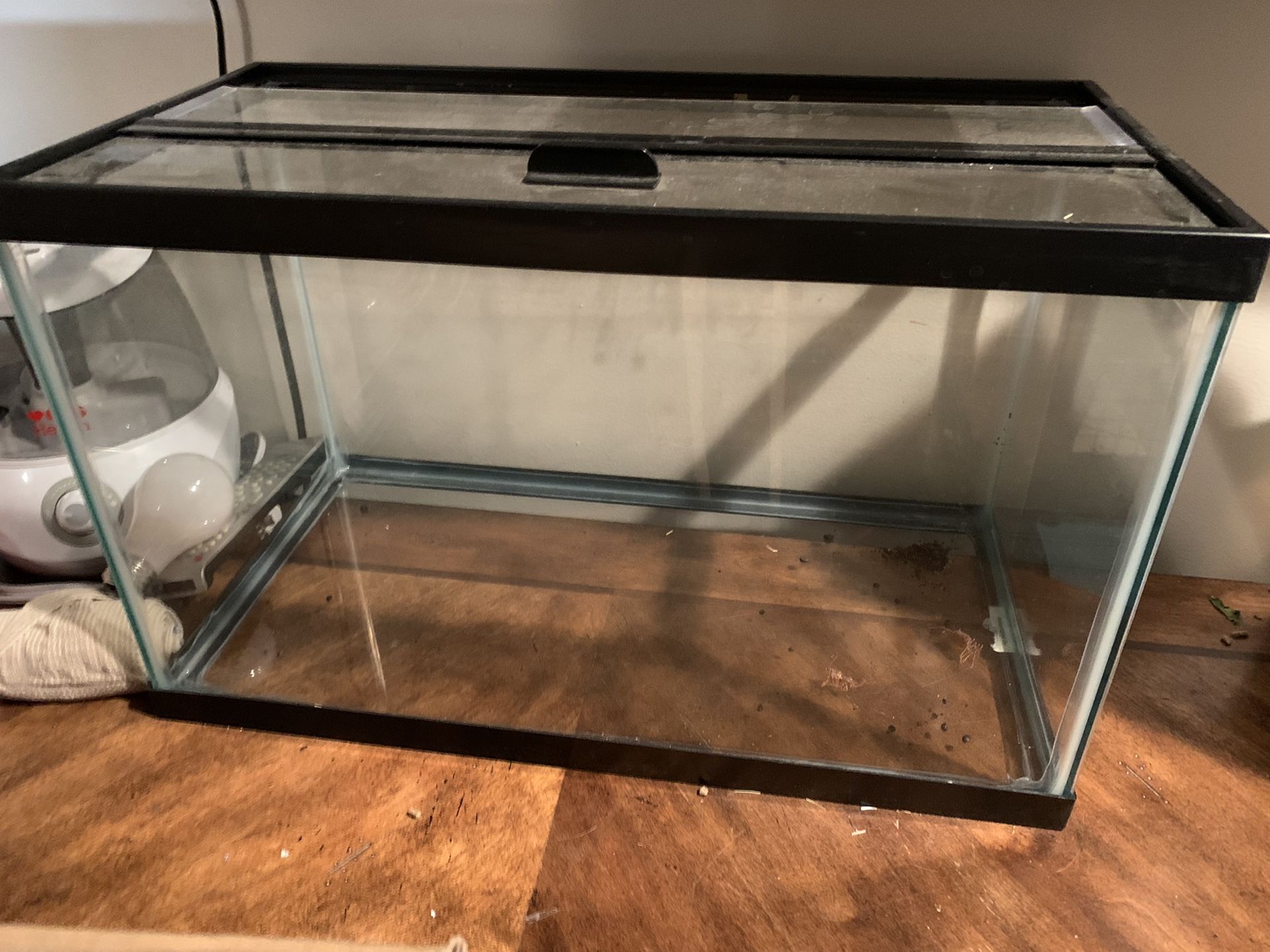10 Gallon Glass Fish Tank