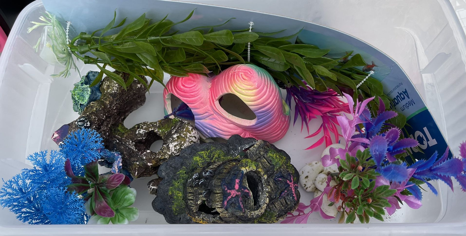 Fish Tank Stuff