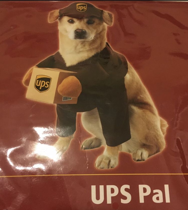 California Costume Collections UPS Pal Dog Halloween Costume, Large Dog (NO BOX)