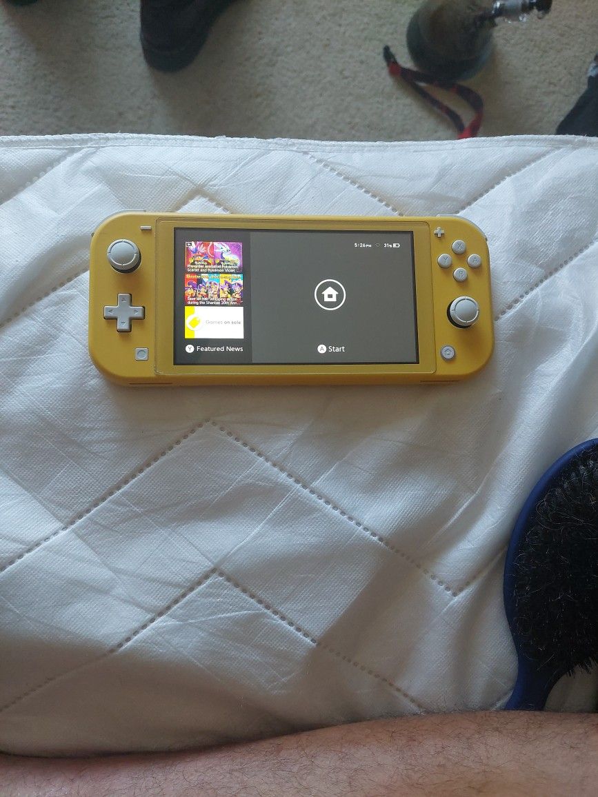 Nintendo Switch Lite