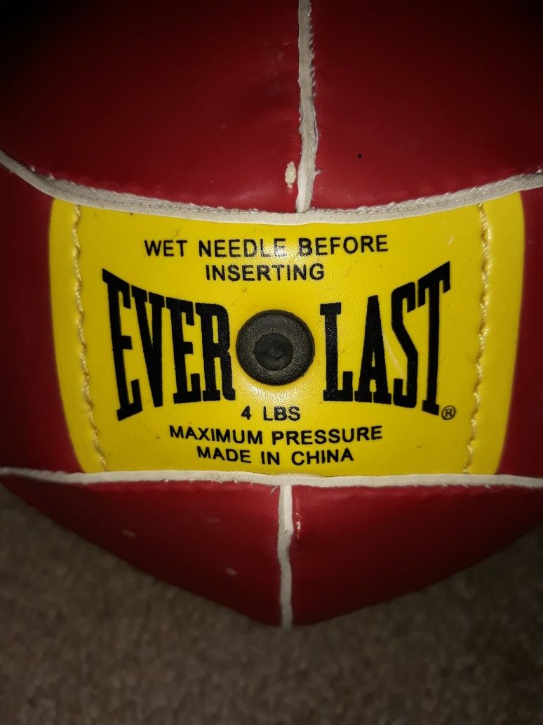 Everlast Speed Bag