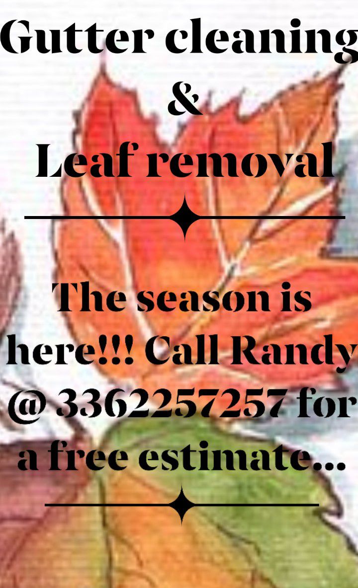 Gutter Cleaning/ Leaf Removal