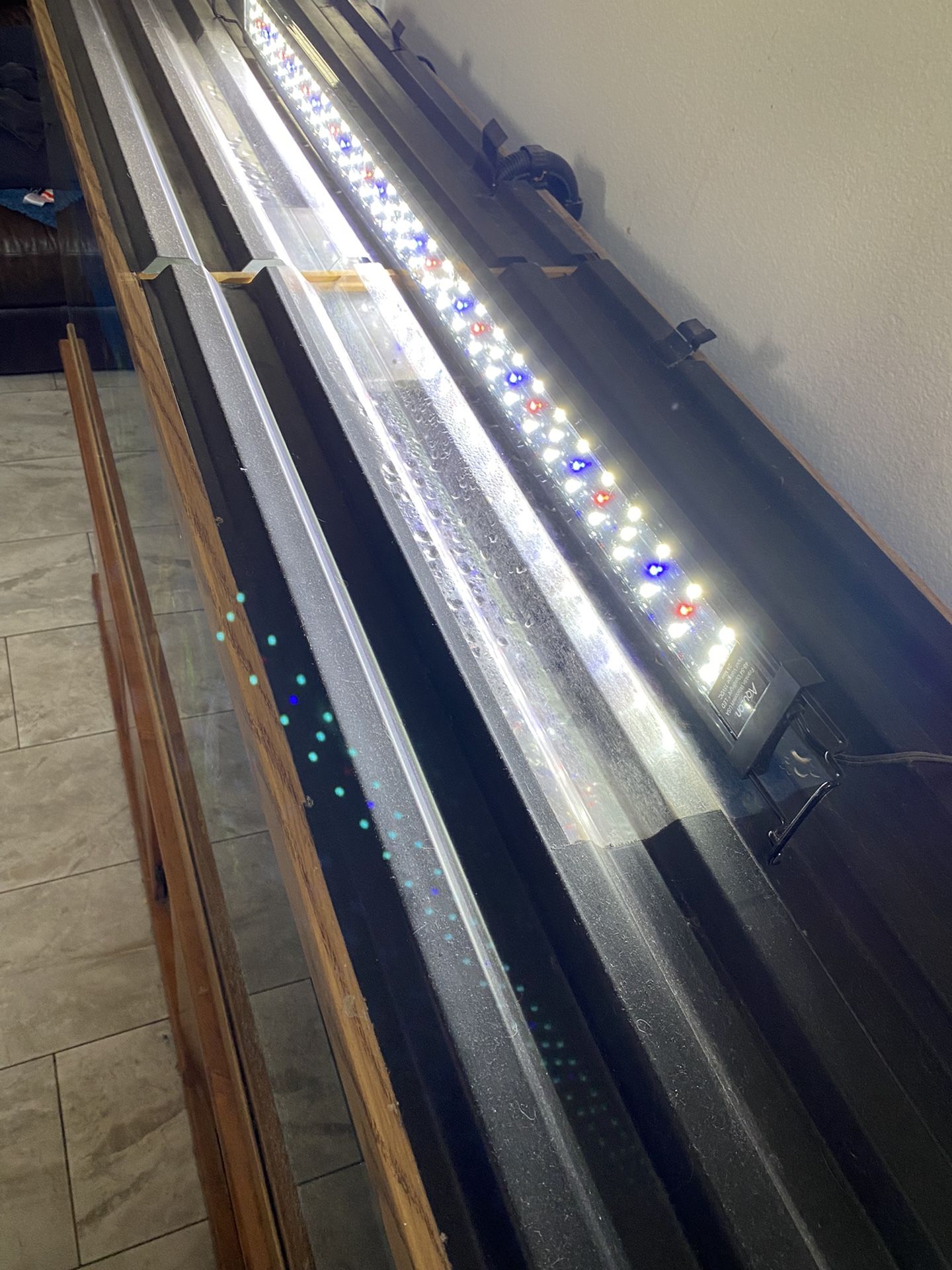 125 Gallon Fish Tank Aquarium