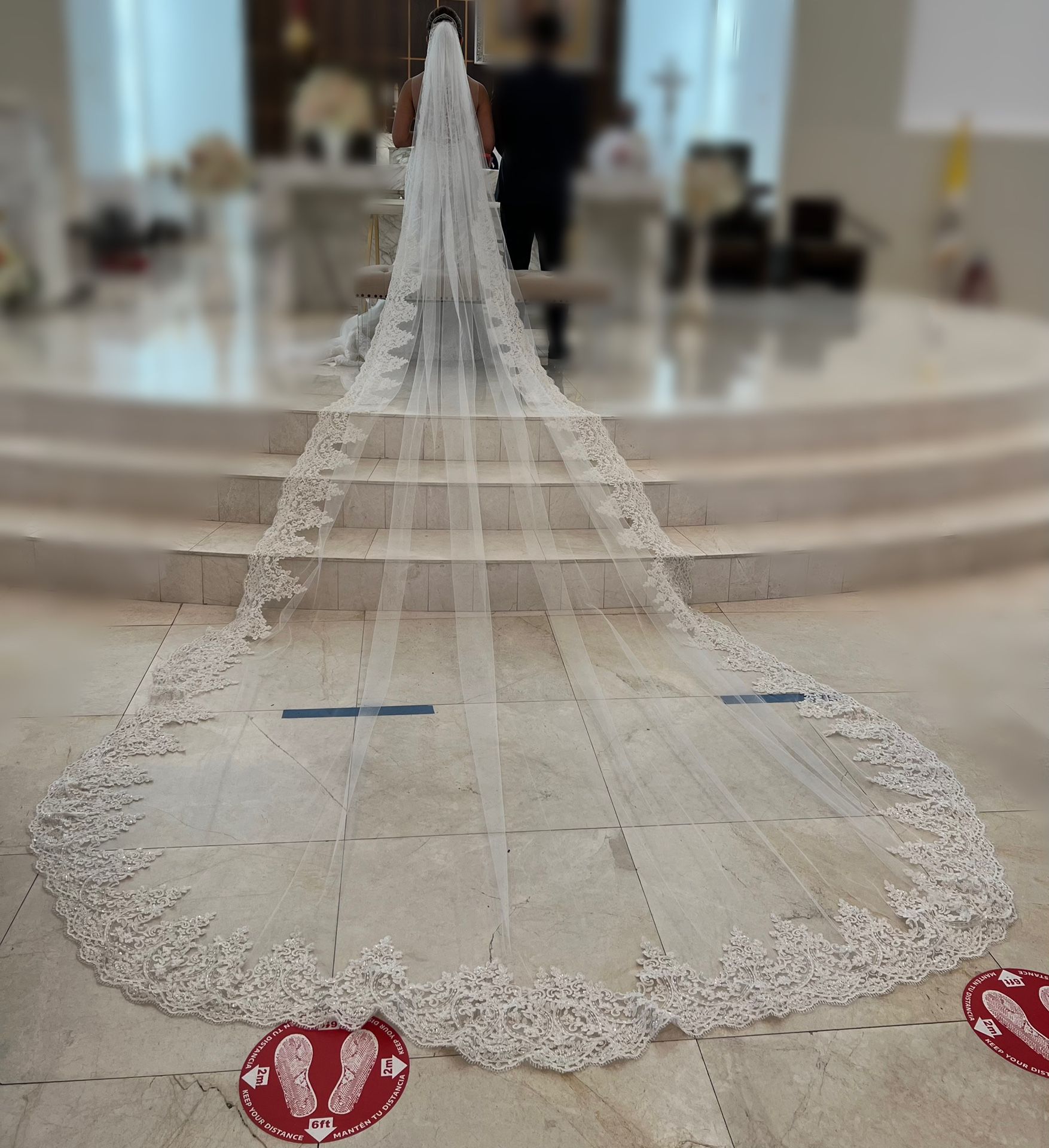 Wedding Dress and Veil