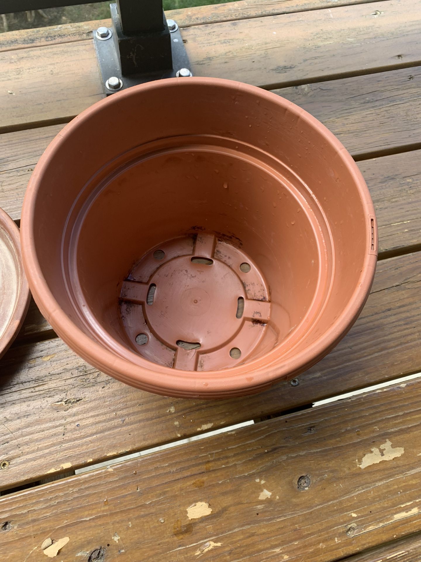 plant pot