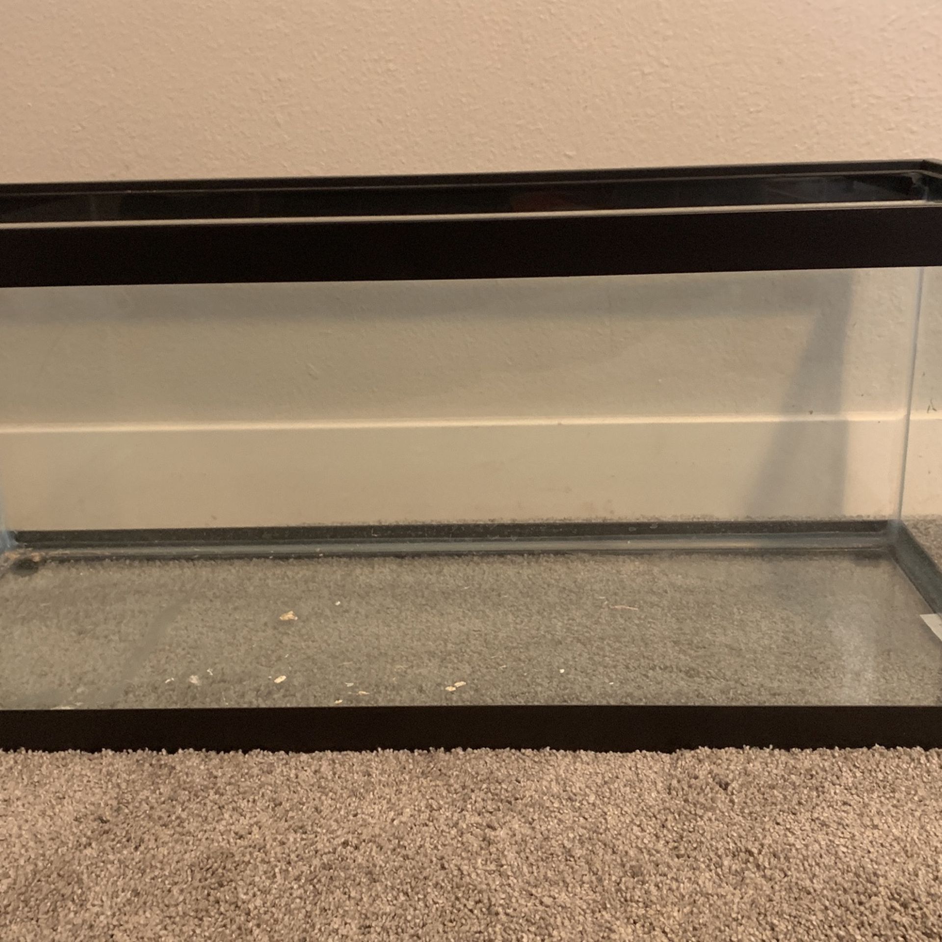 20 Gallon Fish Tank