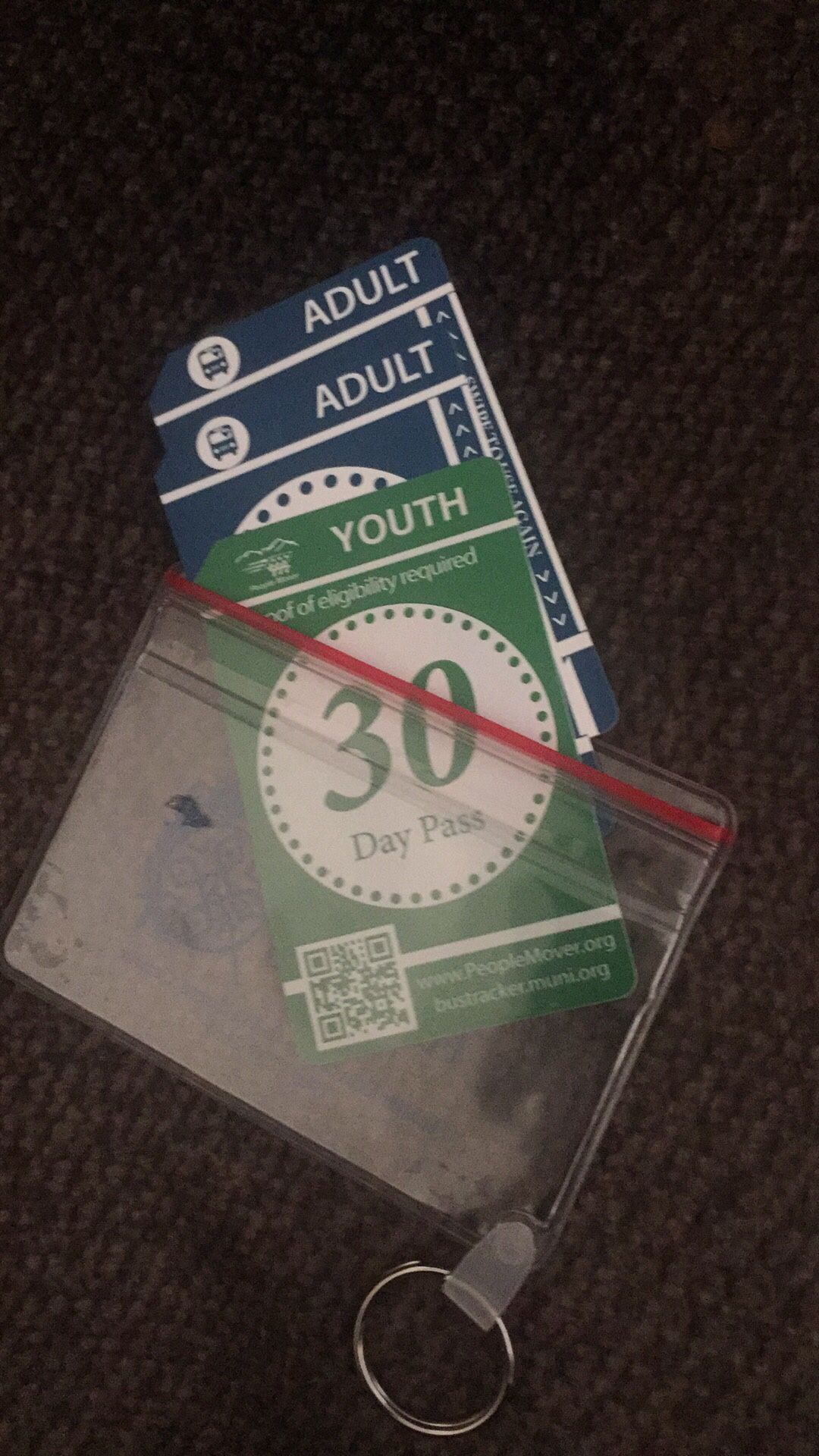 Bus pass