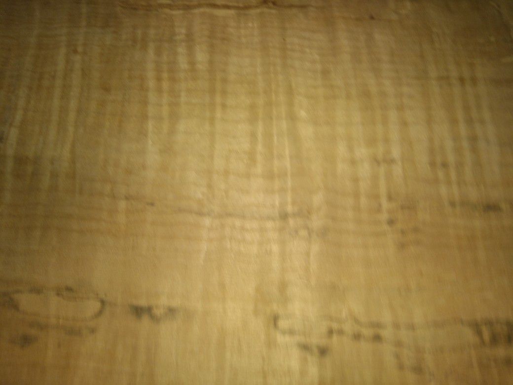 Curly Maple