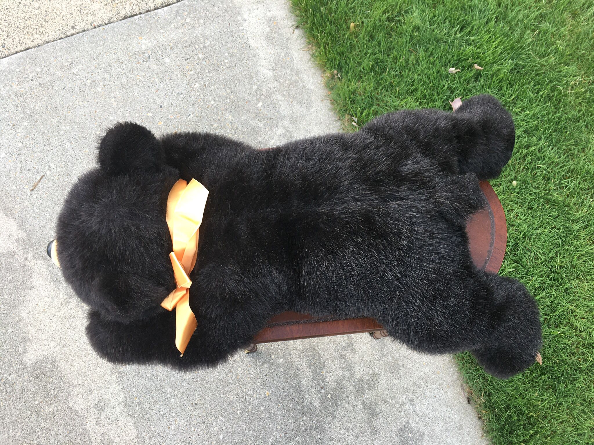 Stuffed Grizzly Bear 