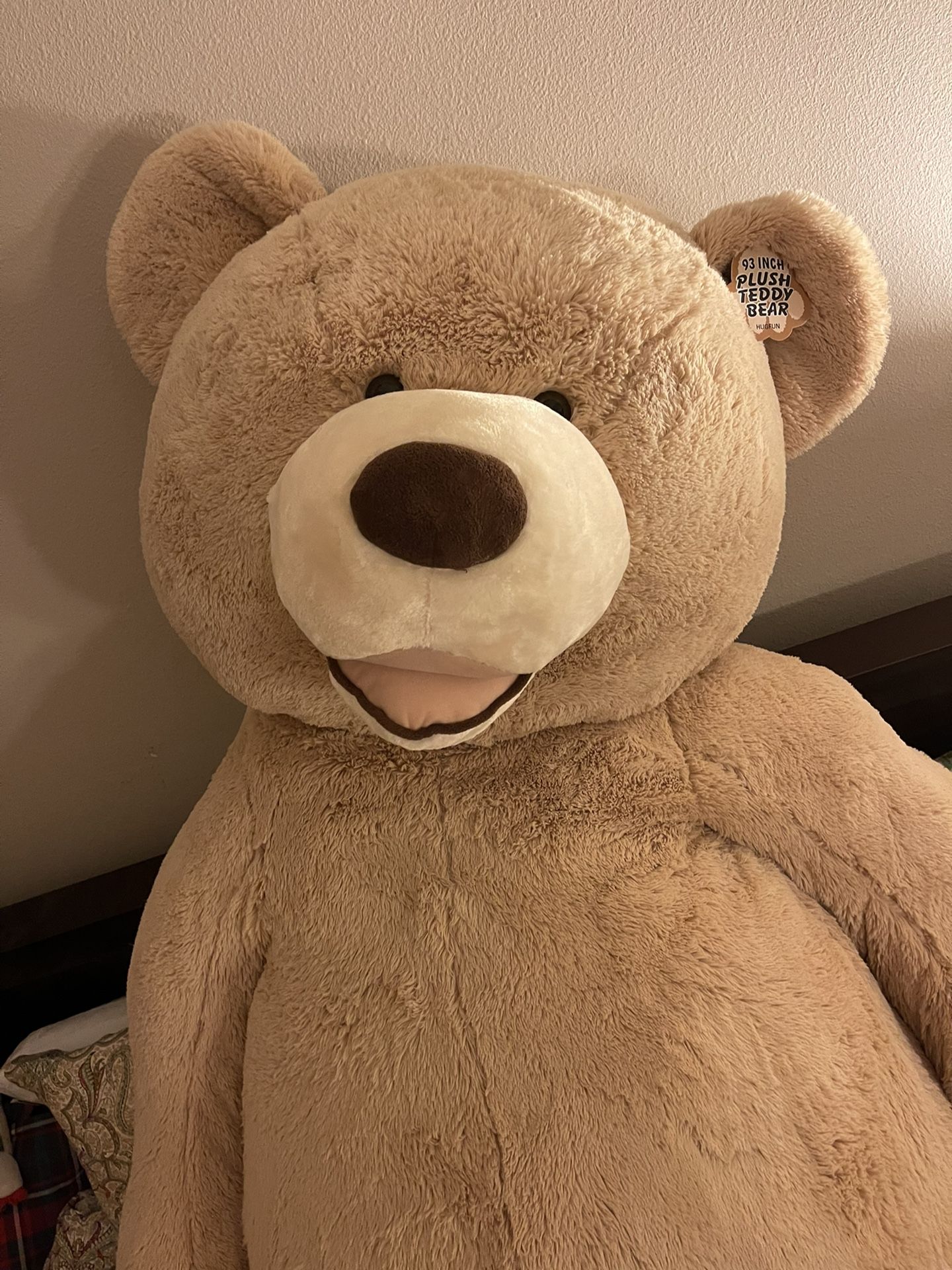 Giant Teddy Bear