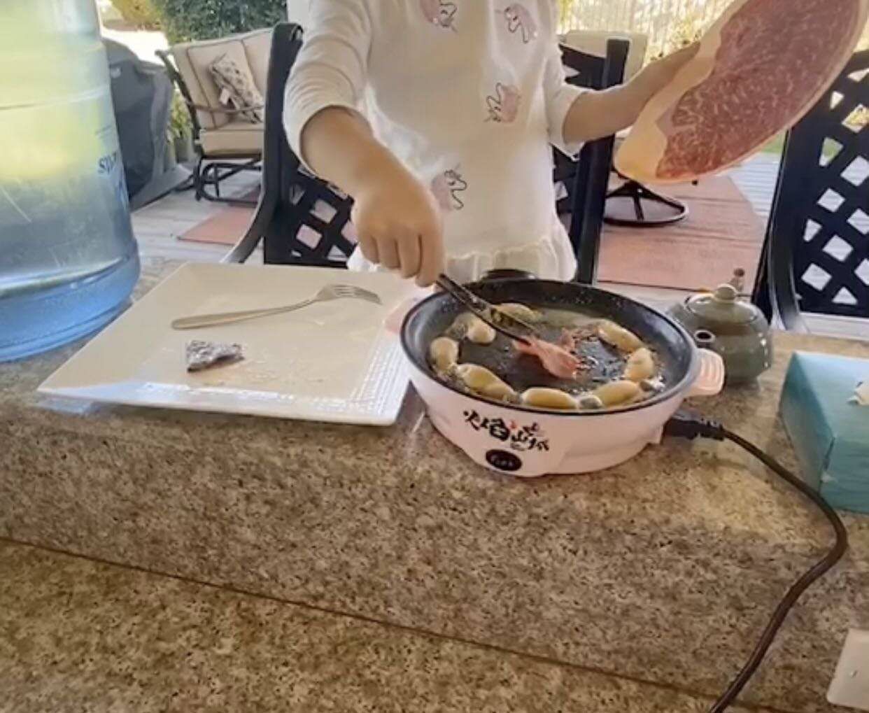 Mini Electric Frying Pan