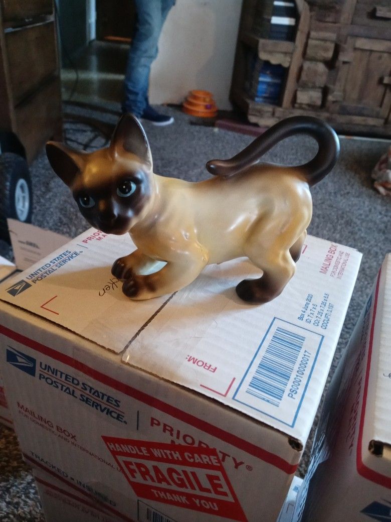 3 Siamese Cats