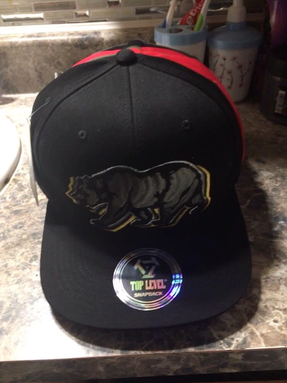 Gorras Nuevas Republic California