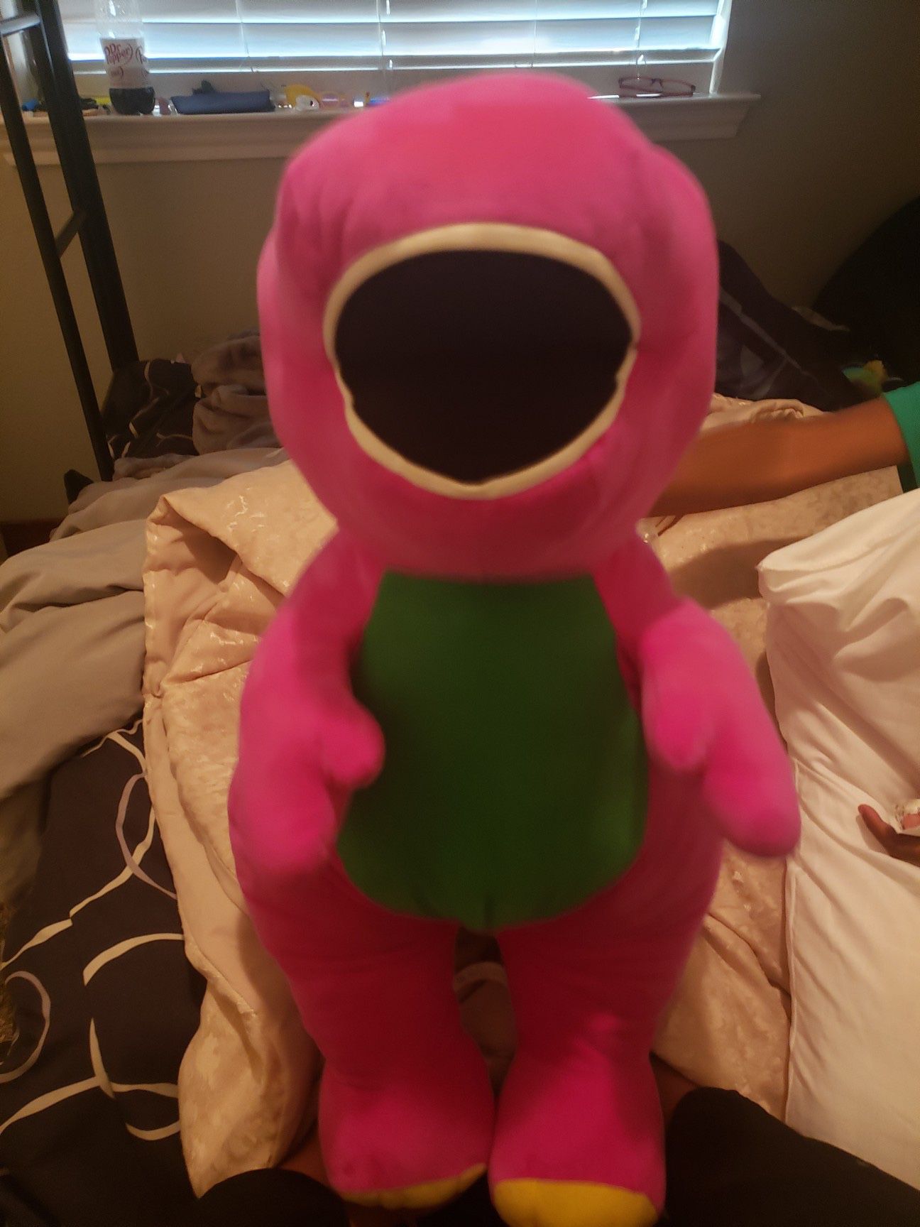 Singing Barney