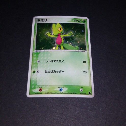 Japanese Holo 3rd Gen. Starters Set