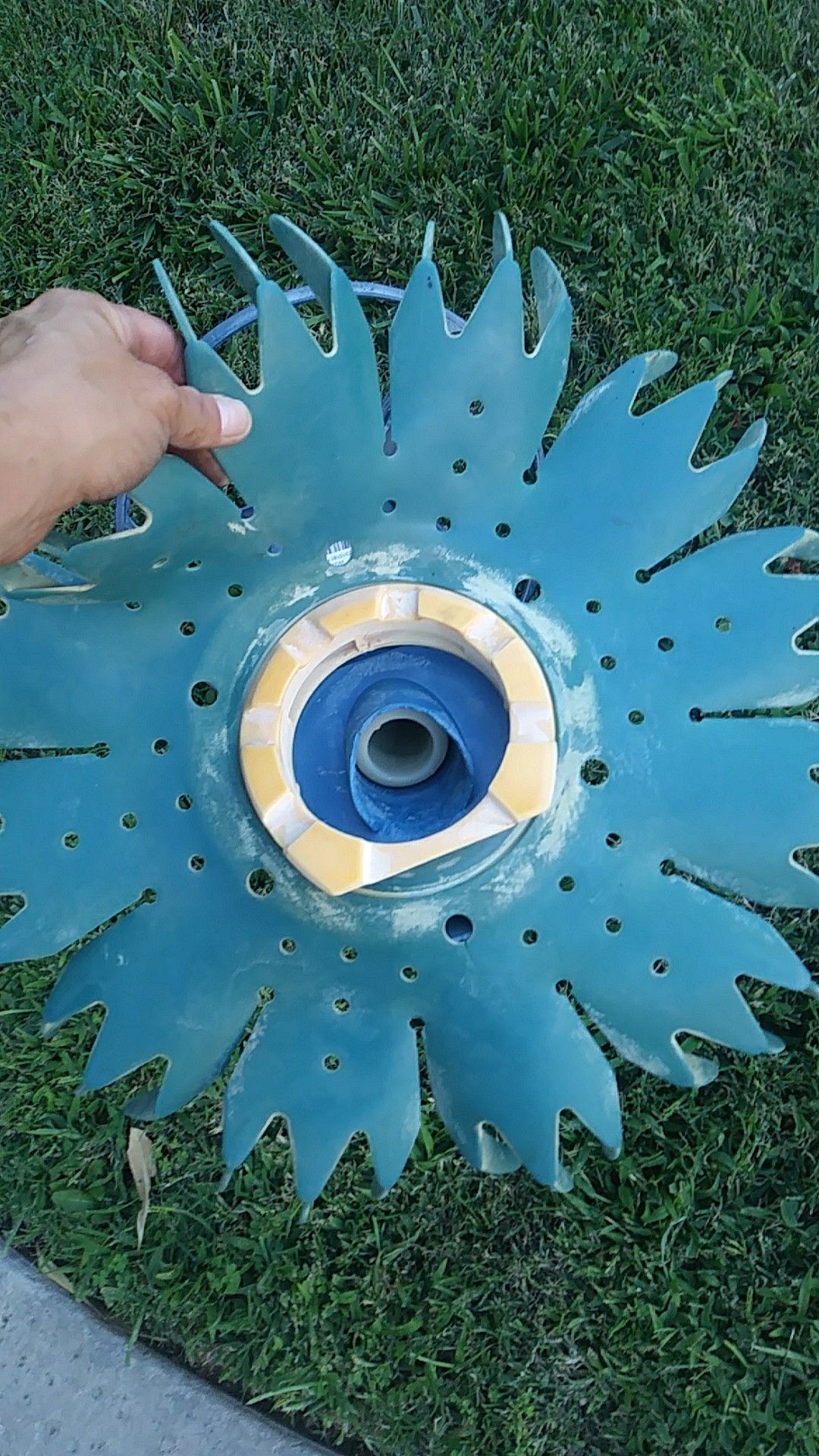 Barracuda Pool creepy crawly for Sale in Victorville, CA OfferUp