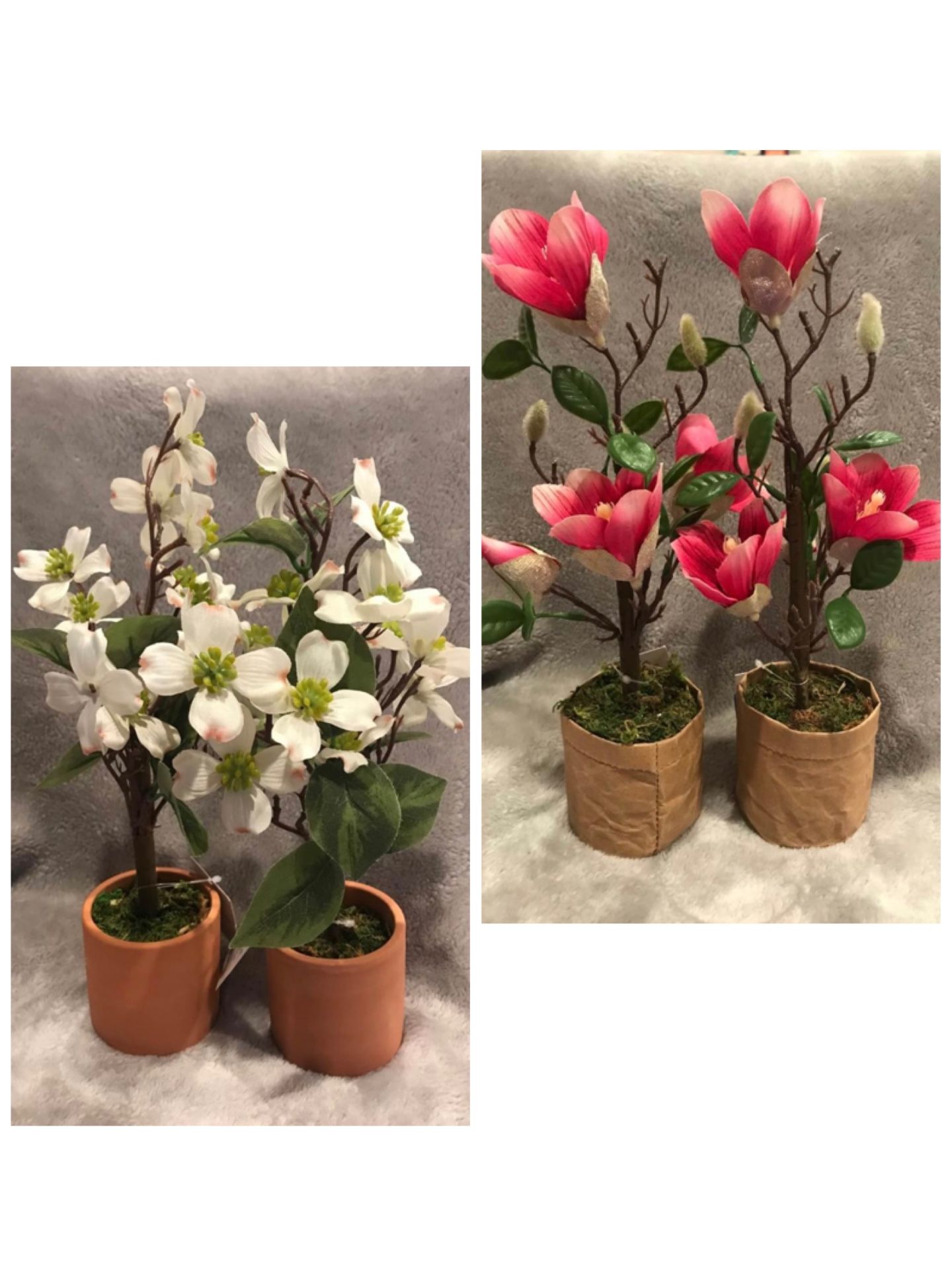 4 cts Dogwood & Magnolia beutiful Spring Flower